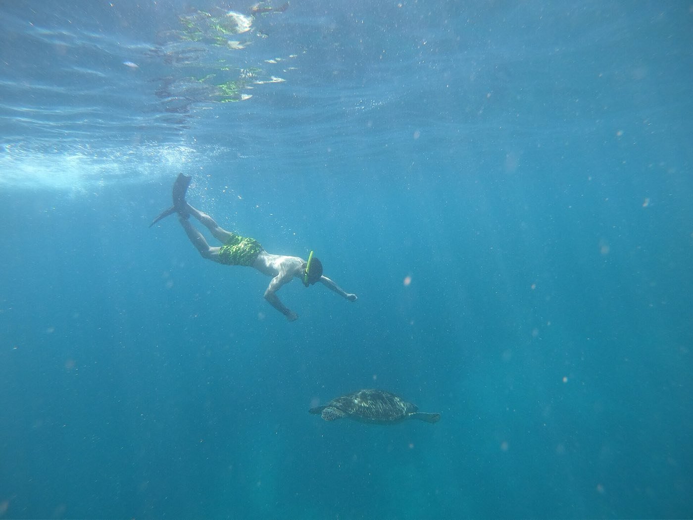 Snorkeling Trip 3 Gili